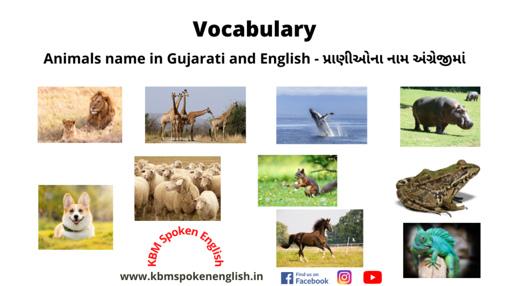 Animals name in Gujarati and English - પ્રાણીઓ ના નામ