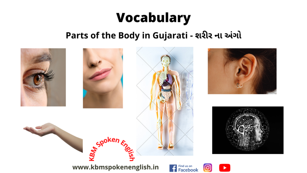 Parts of the Body in Gujarati
